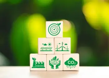 Disponibilização de plataformas amplia acesso a dados sobre bioeconomia no país