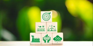 Disponibilização de plataformas amplia acesso a dados sobre bioeconomia no país
