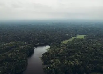 Eco Invest prevê R$ 13,2 bilhões para projetos sustentáveis na Amazônia Legal
