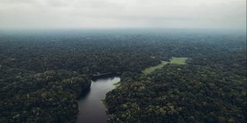Eco Invest prevê R$ 13,2 bilhões para projetos sustentáveis na Amazônia Legal