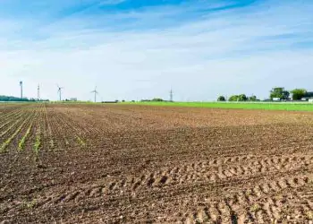 El Niño pode reduzir safra de soja em Mato Grosso no ciclo 2026/27