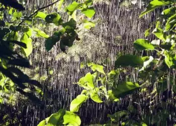 Fim de semana terá chuva isolada em parte do Brasil e calor de até 36°C