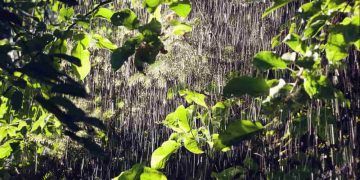 Fim de semana terá chuva isolada em parte do Brasil e calor de até 36°C