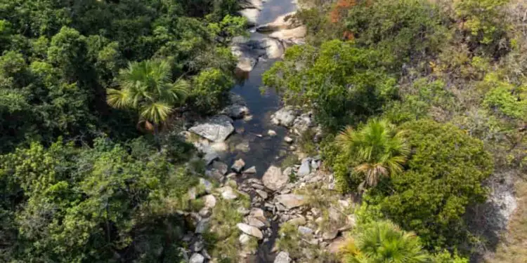 Goiás define 20 municípios para planos de adaptação às mudanças climáticas 1 Goiás define 20 municípios para planos de adaptação às mudanças climáticas