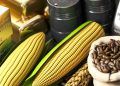 Governo atualiza valores para liberação de estoques públicos de produtos agrícolas; confira 5 Governo atualiza valores para liberação de estoques públicos de produtos agrícolas; confira