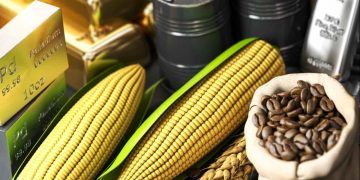 Governo atualiza valores para liberação de estoques públicos de produtos agrícolas; confira