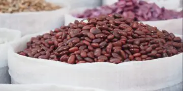 Mercado de feijão fecha abril com reação nos preços após queda inicial