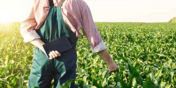 Mercado de trabalho do agro registra alta e ganha força no Brasil