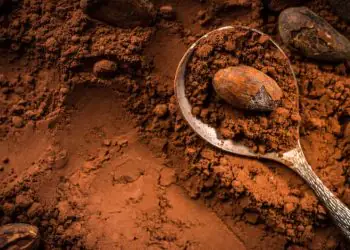 Nova lei define percentual mínimo de cacau e muda rotulagem de chocolates no Brasil