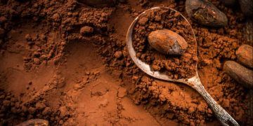 Nova lei define percentual mínimo de cacau e muda rotulagem de chocolates no Brasil