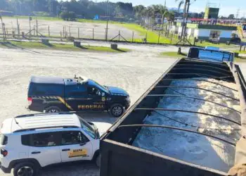 Operação apreende 48 toneladas de açúcar adulterado no Porto de Paranaguá