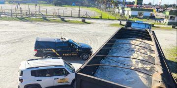Operação apreende 48 toneladas de açúcar adulterado no Porto de Paranaguá