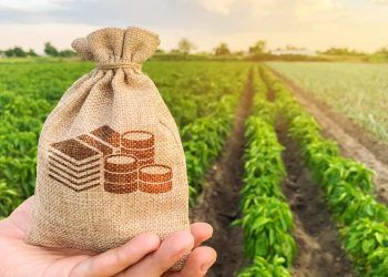 PIB do agronegócio cresce 12,2% e alcança R$ 3,2 trilhões em 2025