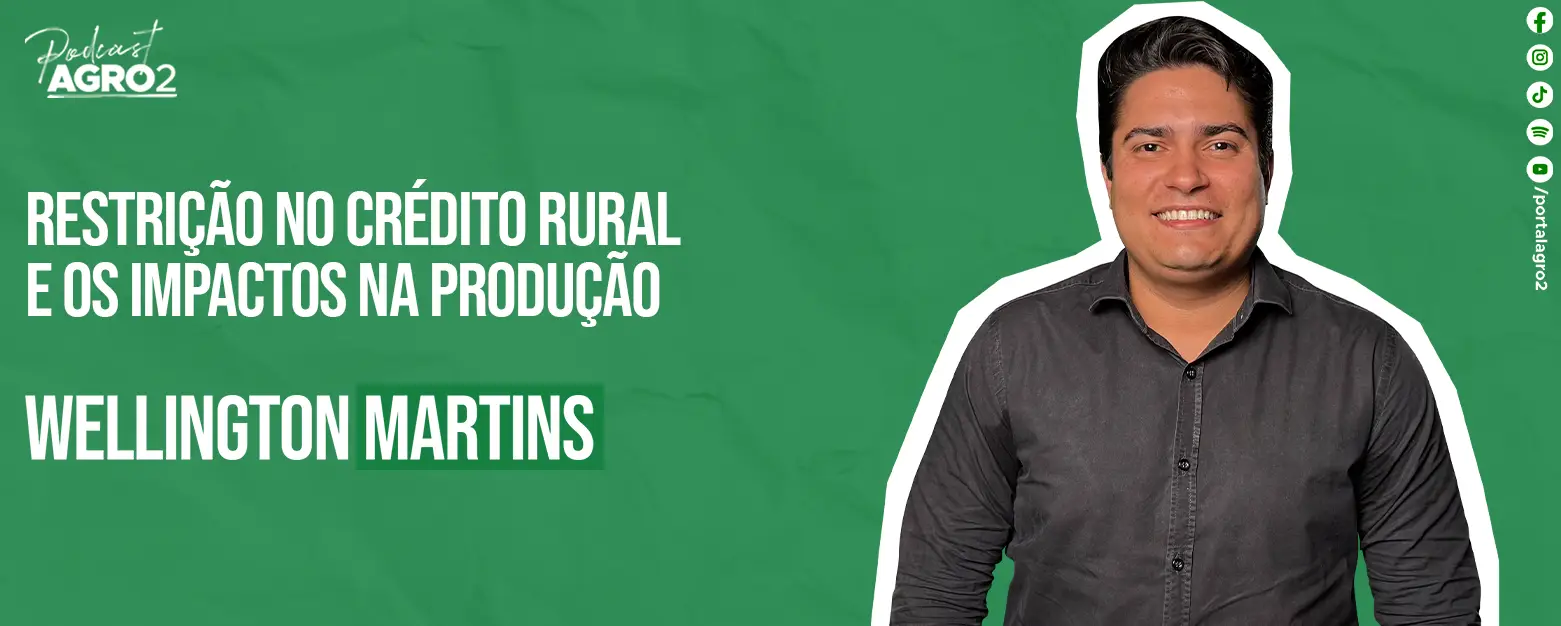 Podcast com Wellington Martins