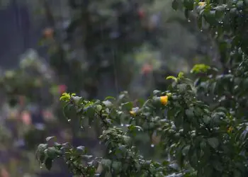 Previsão para maio indica chuvas irregulares e temperaturas acima da média no Brasil