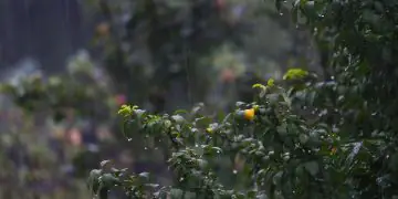 Previsão para maio indica chuvas irregulares e temperaturas acima da média no Brasil