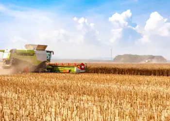 Safra brasileira de grãos deve bater recorde com avanço da soja, milho e sorgo