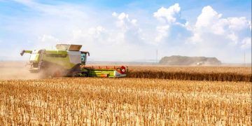 Safra brasileira de grãos deve bater recorde com avanço da soja, milho e sorgo