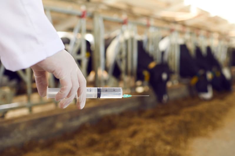 Vacinas contra clostridioses