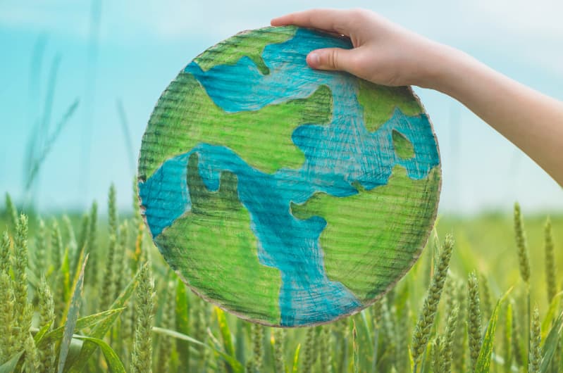 Bioeconomia no país