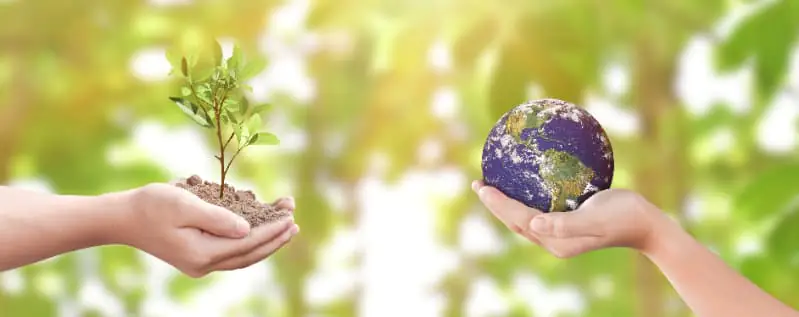 Conservação ambiental