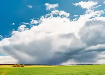 Brasil lança ações de arborização e monitoramento para reduzir impactos das mudanças climáticas
