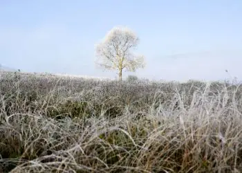 Brasil enfrenta primeira onda de frio de 2026 e pode registrar temperaturas abaixo de 0°C
