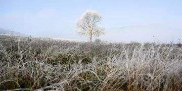 Brasil enfrenta primeira onda de frio de 2026 e pode registrar temperaturas abaixo de 0°C
