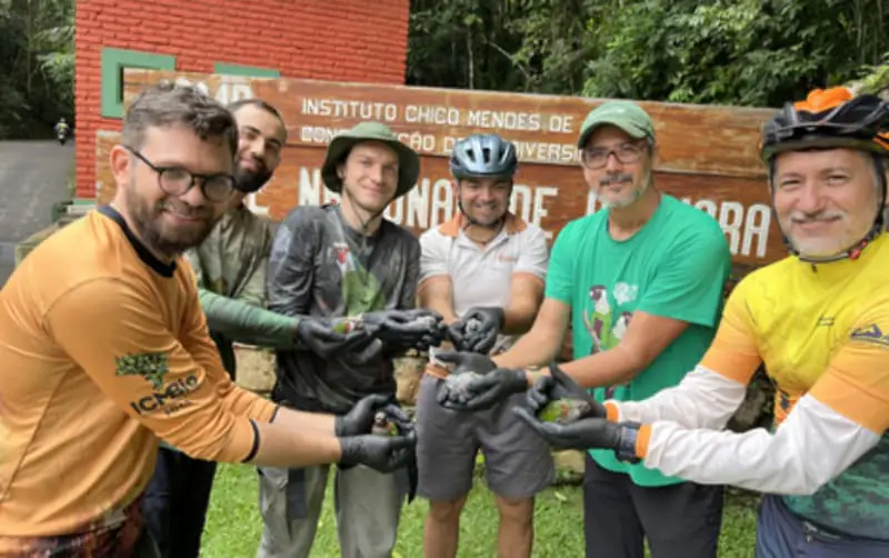 Periquito-cara-suja reaparece após mais de um século na Serra da Ibiapaba 2 Periquito da cara suja
