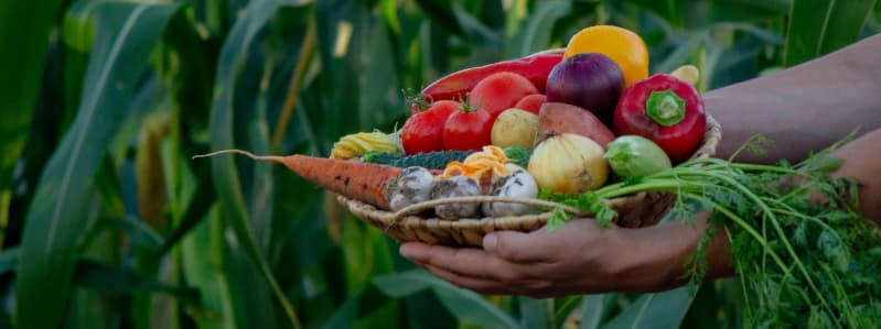 Produtos agricolas