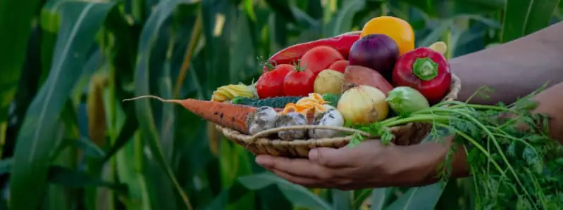 Produtos agricolas