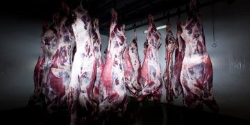 Abate de bovinos e suínos atinge recorde para o primeiro trimestre de 2026