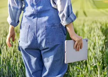 Brasil cria 85,8 mil empregos em abril, mas agro registra saldo negativo