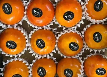 Caqui brasileiro conquista mercado da Costa Rica com primeiro embarque comercial 8 Caqui brasileiro conquista mercado da Costa Rica com primeiro embarque comercial
