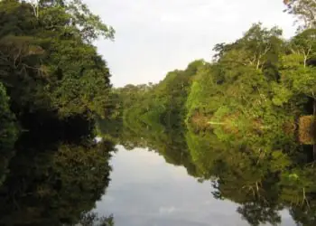 Comitê aprova R$ 73,9 milhões para fortalecer unidades de conservação ambiental 6 Comitê aprova R$ 73,9 milhões para fortalecer unidades de conservação ambiental