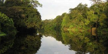 Comitê aprova R$ 73,9 milhões para fortalecer unidades de conservação ambiental