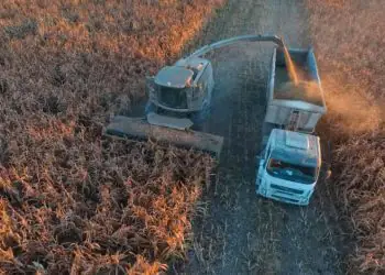 Custos operacionais elevados mantêm fretes agrícolas em alta no país