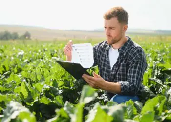 Estoque de Cédulas de Produto Rural alcança R$ 565 bilhões em maio