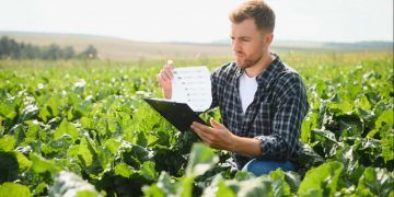 Estoque de Cédulas de Produto Rural alcança R$ 565 bilhões em maio