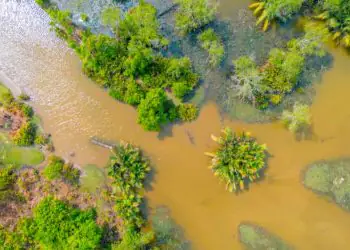 Fenômeno El Niño volta a se formar e acende alerta para impactos climáticos
