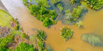 Fenômeno El Niño volta a se formar e acende alerta para impactos climáticos