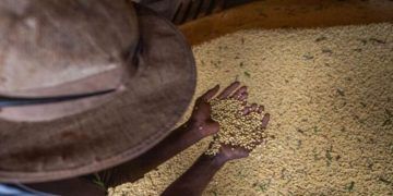 Goiás registra superávit de US$ 803 milhões na balança comercial em maio