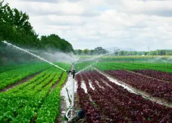 Governo muda regras da energia para irrigação e aquicultura