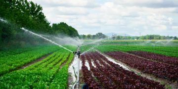Governo muda regras da energia para irrigação e aquicultura