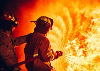 Medida provisória destina R$ 337,5 milhões para combate ao desmatamento e incêndios florestais