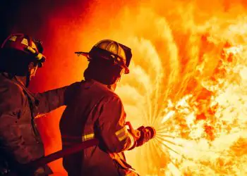 Medida provisória destina R$ 337,5 milhões para combate ao desmatamento e incêndios florestais 6 Medida provisória destina R$ 337,5 milhões para combate ao desmatamento e incêndios florestais