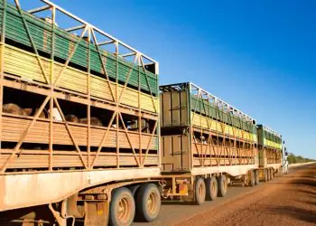Normativa libera versão digital da GTA para transporte animal em Goiás