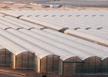 Nova lei flexibiliza certificação de armazéns agropecuários no Brasil 6 Nova lei flexibiliza certificação de armazéns agropecuários no Brasil