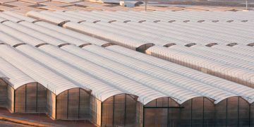 Nova lei flexibiliza certificação de armazéns agropecuários no Brasil