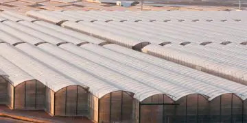 Nova lei flexibiliza certificação de armazéns agropecuários no Brasil